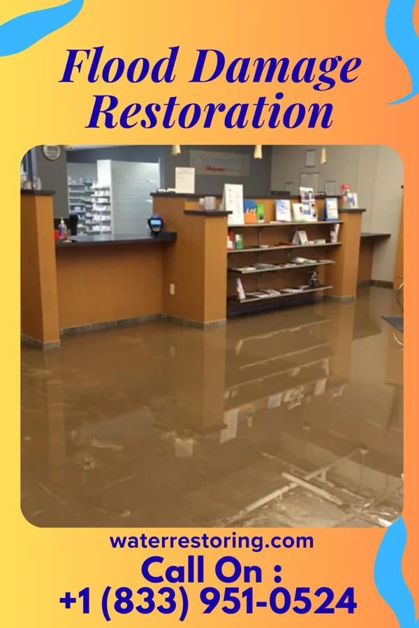 Flood Damage Restoration in Nimrod, MN